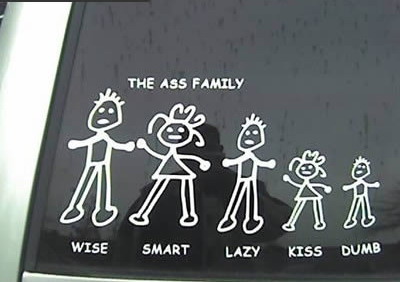 The ass family
